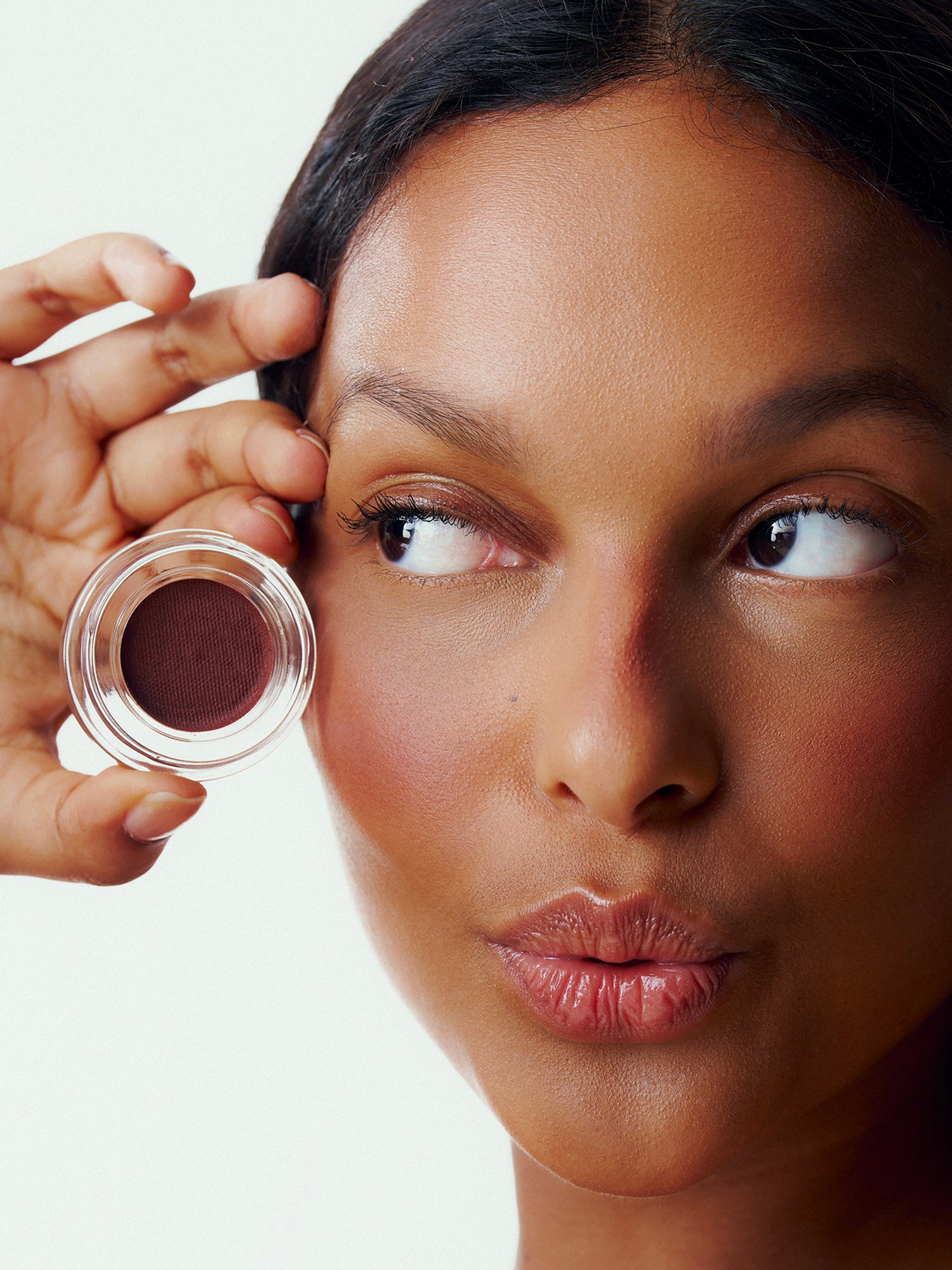 Le Fard à Joues - Wild Fig